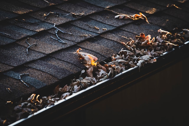 ASG Industrial Seamless Gutters – Company Overview